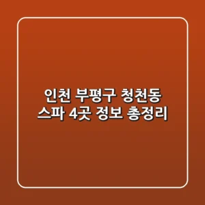 인천 부평구 청천동 스파 4곳 정보 총정리