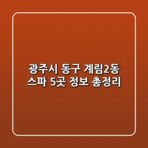 광주시 동구 계림2동 스파 5곳 정보 총정리