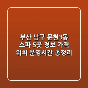 부산 남구 문현3동 스파 5곳 정보 - 가격, 위치, 운영시간 총정리