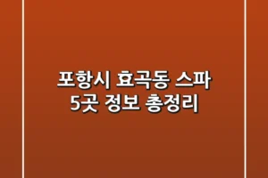 포항시 효곡동 스파 5곳 정보 총정리