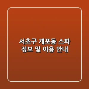 서초구 개포동 스파 정보 및 이용 안내