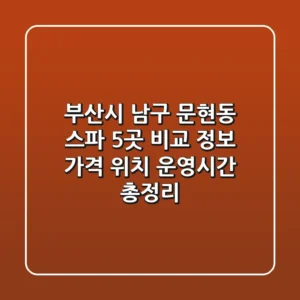 부산시 남구 문현동 스파 5곳 비교 정보 - 가격, 위치, 운영시간 총정리