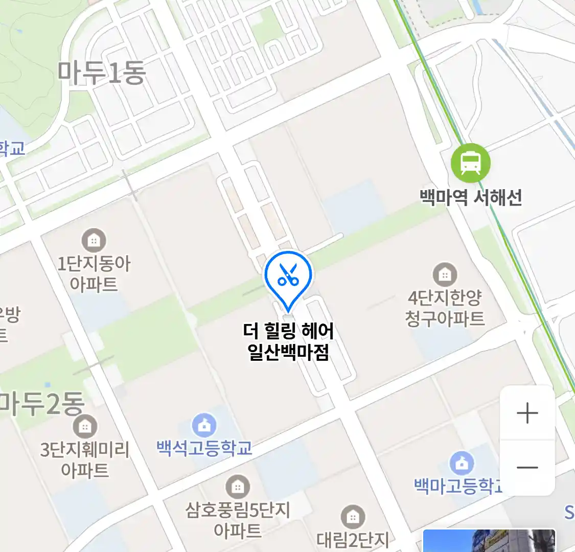 더 힐링 헤어 일산백마점 위치