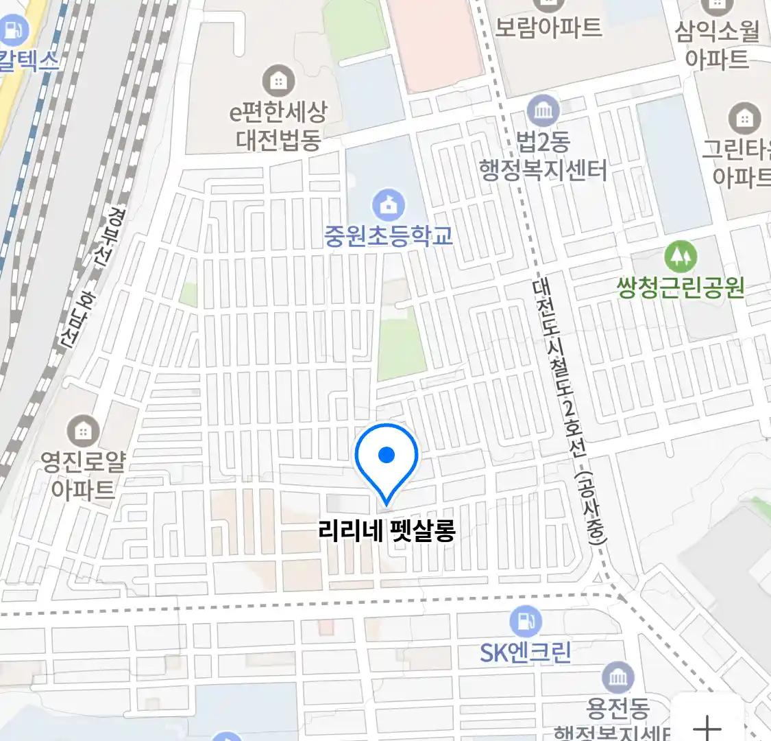 리리네 펫살롱 위치