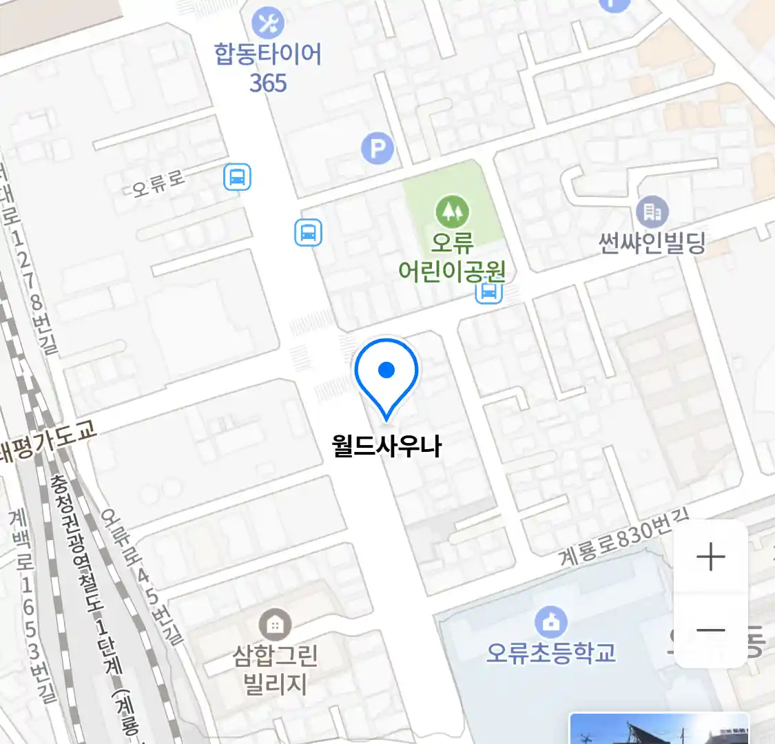 월드사우나 위치