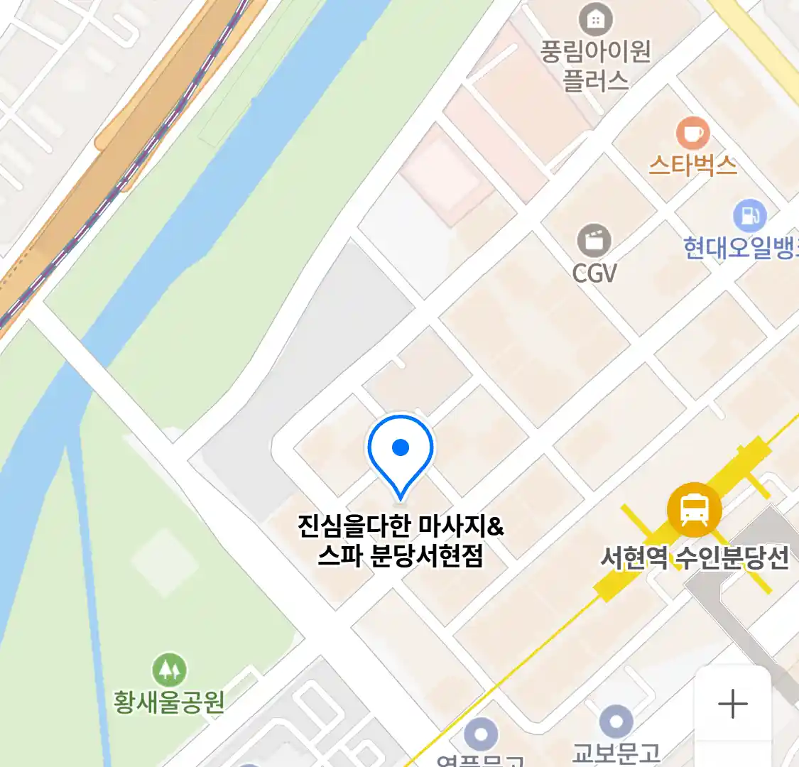 진심을다한 마사지&스파 분당서현점 위치