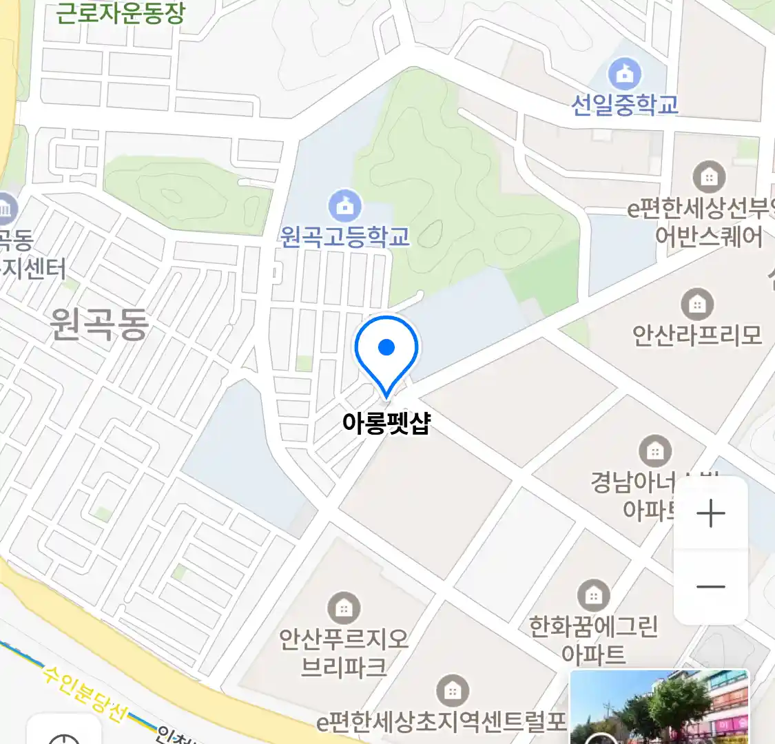 아롱펫샵 위치