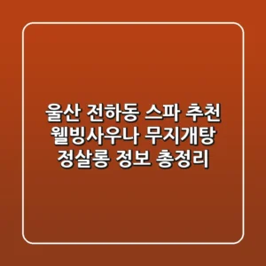 울산 전하동 스파 추천: 웰빙사우나, 무지개탕, 정살롱 정보 총정리