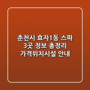 춘천시 효자1동 스파 3곳 정보 총정리 - 가격/위치/시설 안내