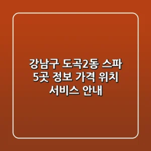 강남구 도곡2동 스파 5곳 정보 - 가격, 위치, 서비스 안내