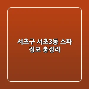 서초구 서초3동 스파 정보 총정리