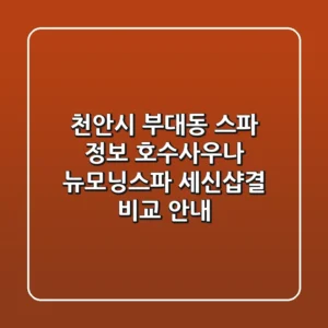 천안시 부대동 스파 정보: 호수사우나, 뉴모닝스파, 세신샵결 비교 안내
