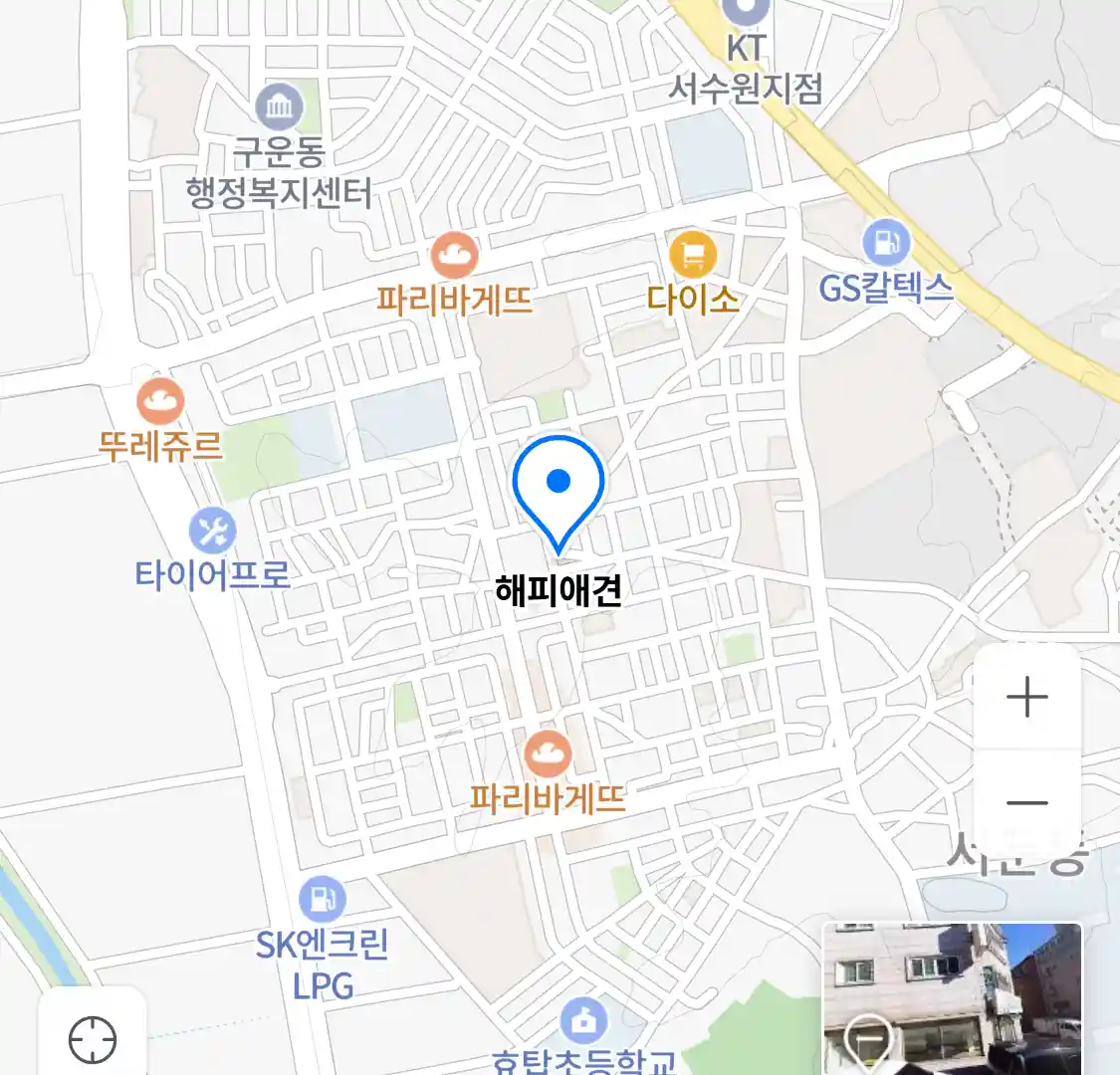 해피애견 위치