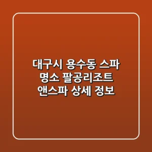 대구시 용수동 스파 명소: 팔공리조트 앤스파 상세 정보