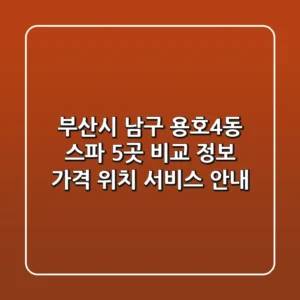 부산시 남구 용호4동 스파 5곳 비교 정보 - 가격, 위치, 서비스 안내