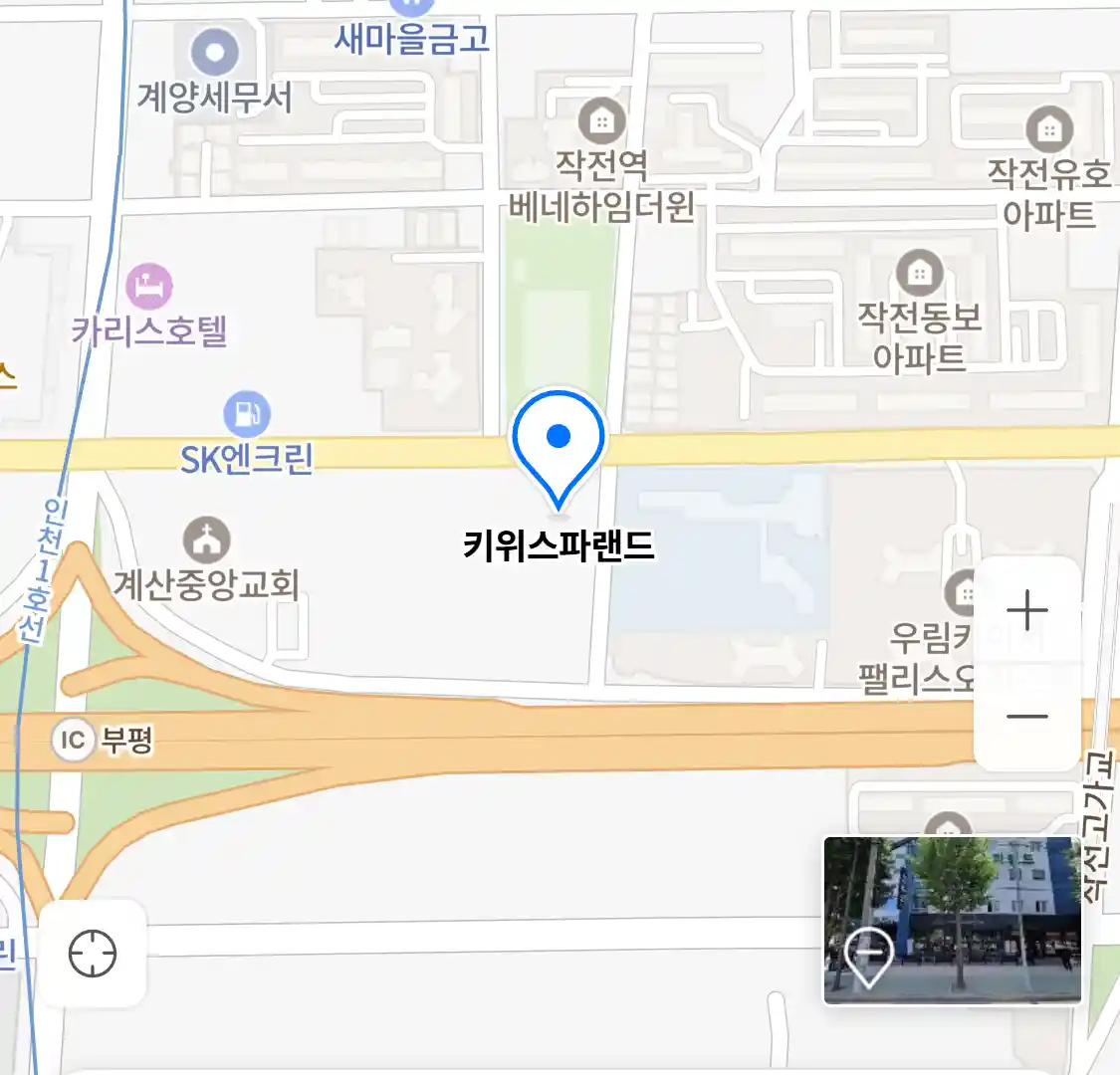 키위스파랜드 위치
