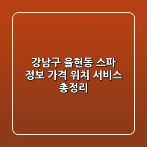 강남구 율현동 스파 정보 - 가격, 위치, 서비스 총정리