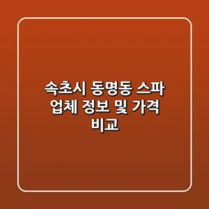 속초시 동명동 스파 업체 정보 및 가격 비교