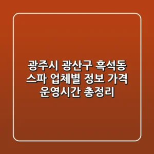광주시 광산구 흑석동 스파: 업체별 정보, 가격, 운영시간 총정리
