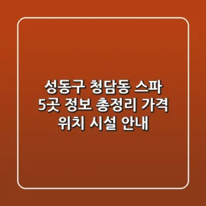 성동구 청담동 스파 5곳 정보 총정리 - 가격, 위치, 시설 안내