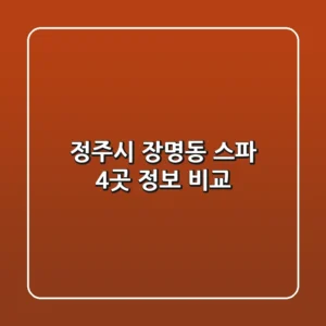 정주시 장명동 스파 4곳 정보 비교