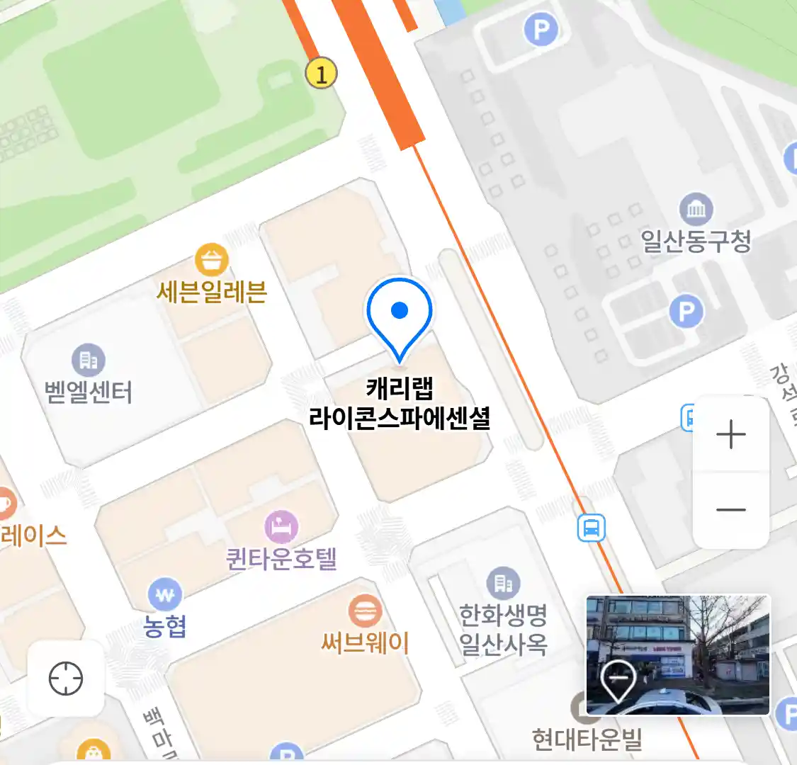 캐리랩 라이콘스파에센셜 위치