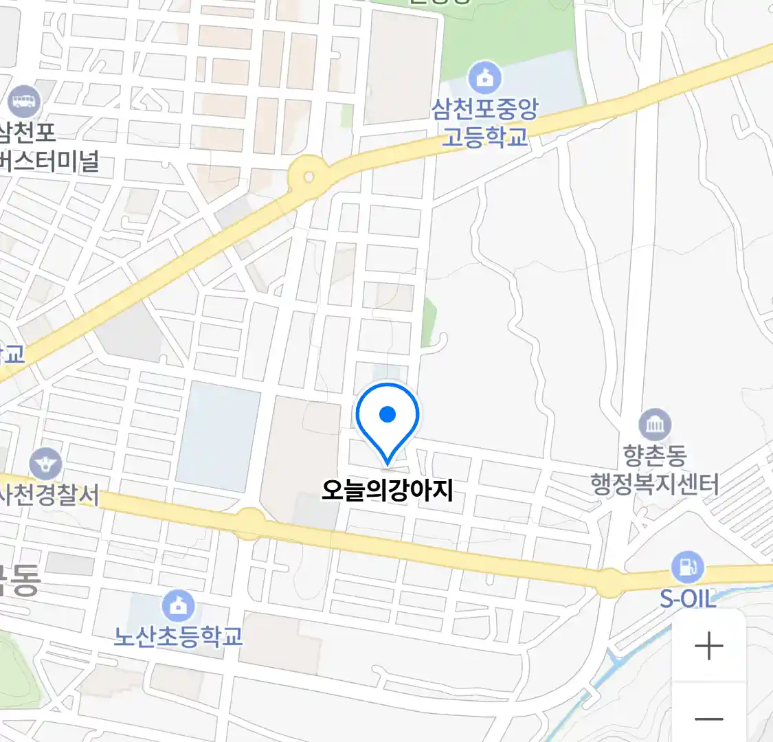 오늘의강아지 위치