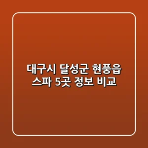 대구시 달성군 현풍읍 스파 5곳 정보 비교