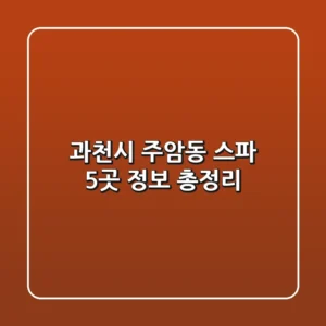 과천시 주암동 스파 5곳 정보 총정리