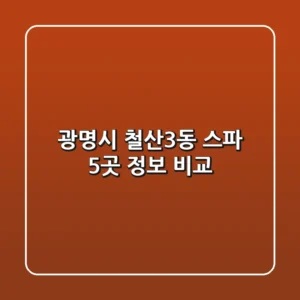 광명시 철산3동 스파 5곳 정보 비교