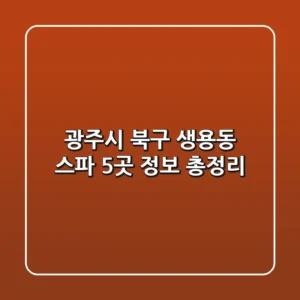 광주시 북구 생용동 스파 5곳 정보 총정리
