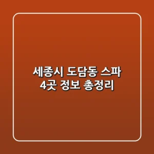 세종시 도담동 스파 4곳 정보 총정리