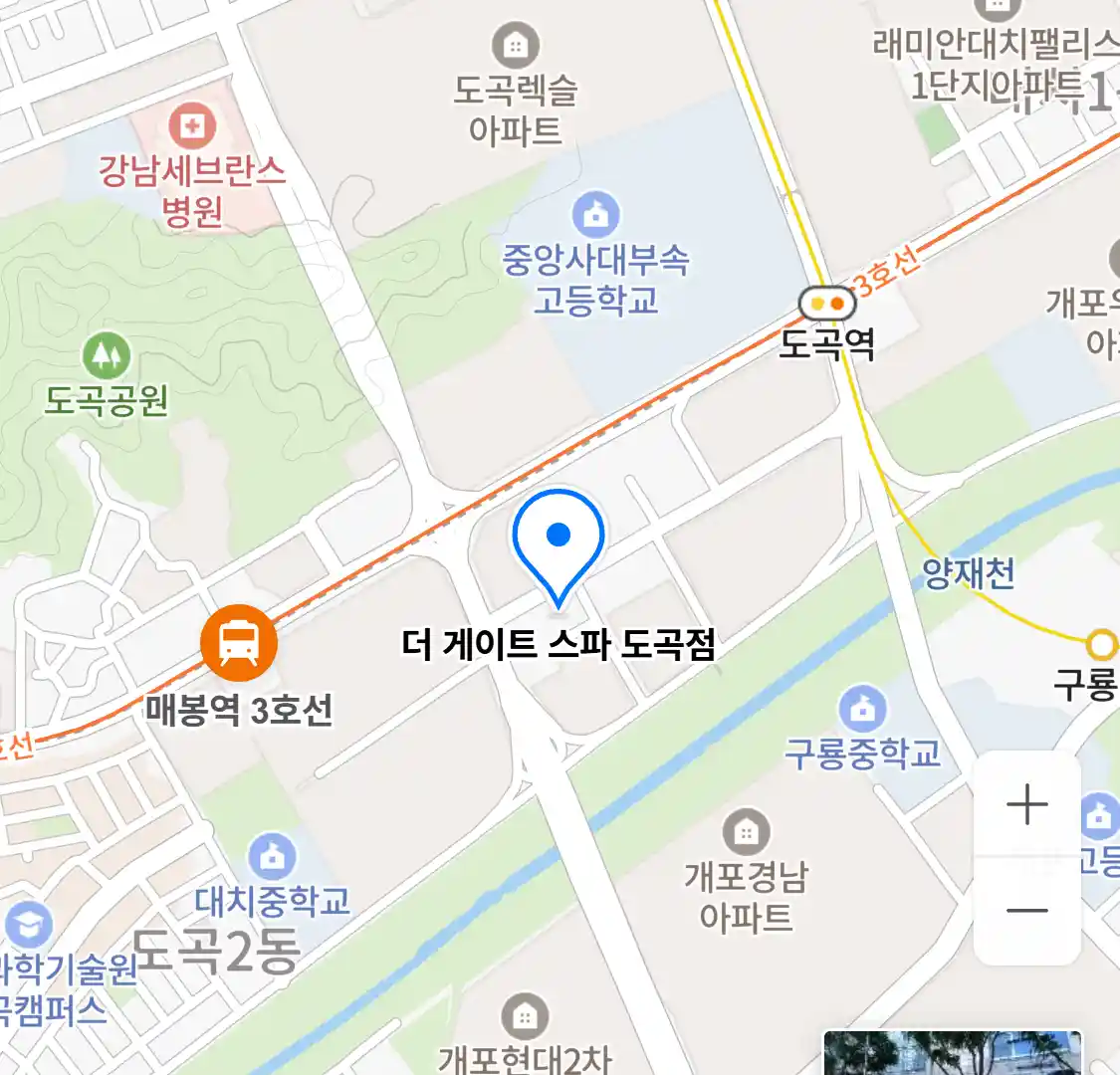 더 게이트 스파 도곡점 위치