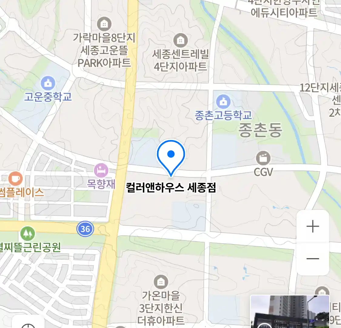 컬러앤하우스 세종점 위치