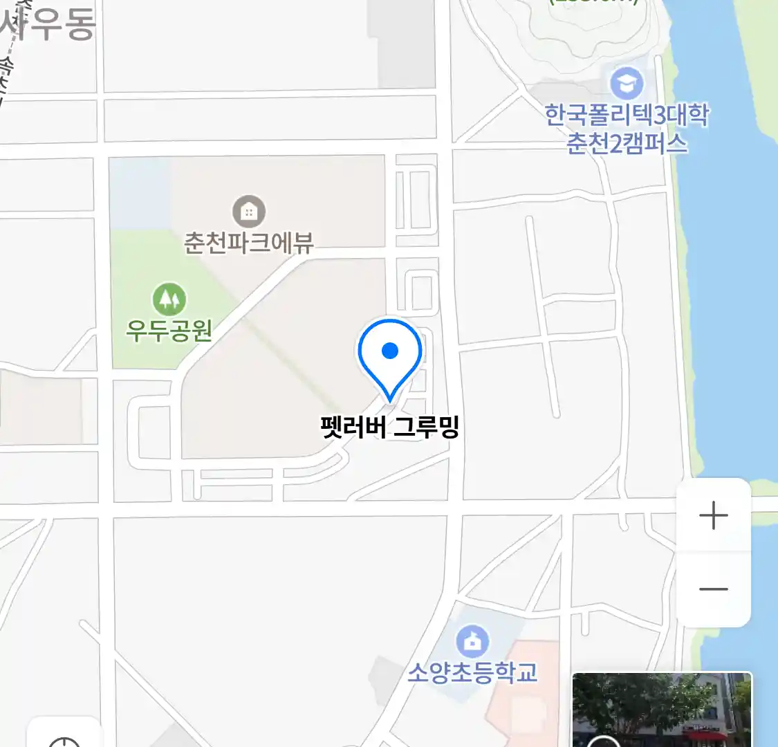 펫러버 그루밍 위치