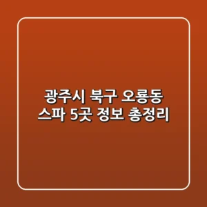 광주시 북구 오룡동 스파 5곳 정보 총정리