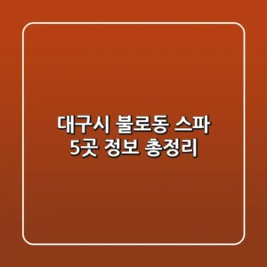 대구시 불로동 스파 5곳 정보 총정리