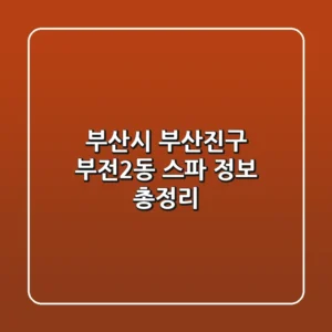 부산시 부산진구 부전2동 스파 정보 총정리