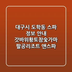 대구시 도학동 스파 정보 안내: 갓바위황토참숯가마, 팔공리조트 앤스파