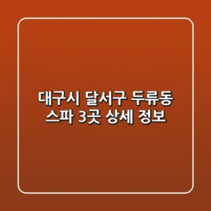 대구시 달서구 두류동 스파 3곳 상세 정보