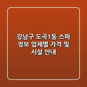 강남구 도곡1동 스파 정보 - 업체별 가격 및 시설 안내