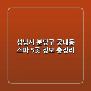 성남시 분당구 궁내동 스파 5곳 정보 총정리
