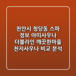 천안시 청당동 스파 정보: 아띠사우나, 더블라인, 깨끗한마을, 천지사우나 비교 분석