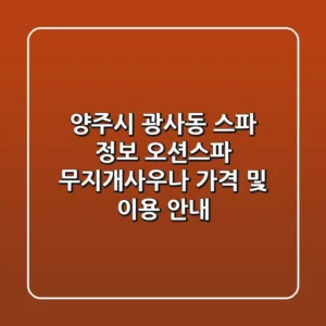 양주시 광사동 스파 정보: 오션스파, 무지개사우나 가격 및 이용 안내