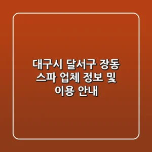 대구시 달서구 장동 스파 업체 정보 및 이용 안내