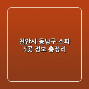 천안시 동남구 스파 5곳 정보 총정리