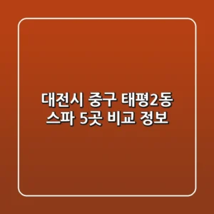 대전시 중구 태평2동 스파 5곳 비교 정보