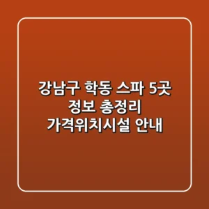 강남구 학동 스파 5곳 정보 총정리 - 가격/위치/시설 안내