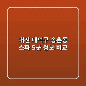 대전 대덕구 송촌동 스파 5곳 정보 비교