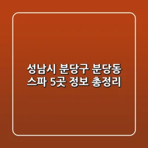 성남시 분당구 분당동 스파 5곳 정보 총정리